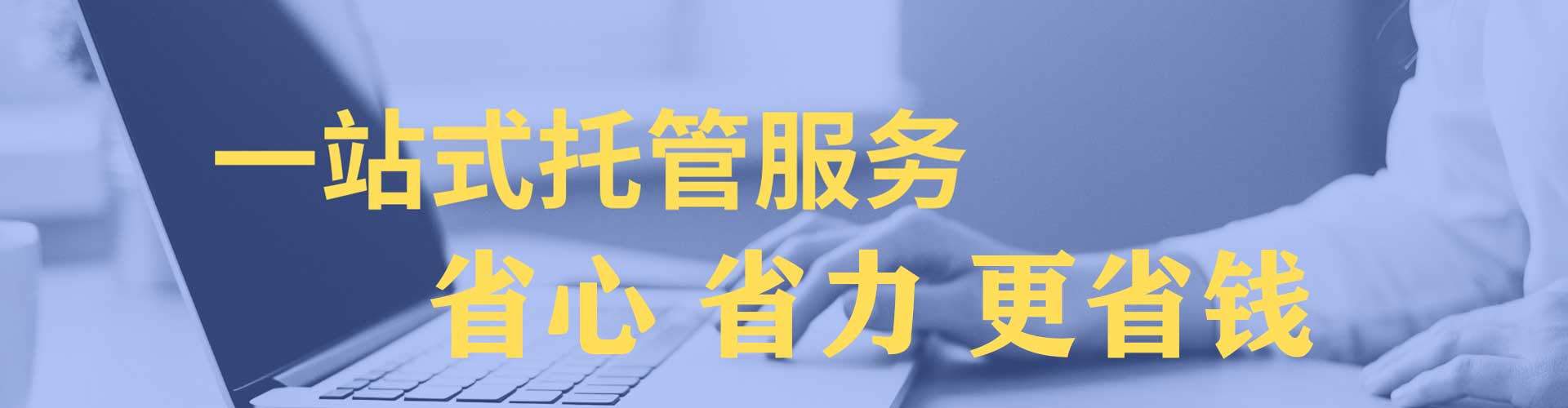 双柏信息流竞价
